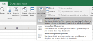 ¿Cómo inmovilizar paneles en Excel?